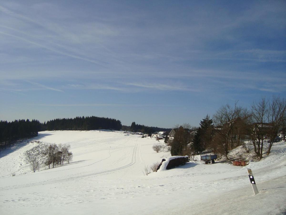 Appartement An Der Erlebniskappe Mit Fahrradkeller Winterberg Exteriér fotografie
