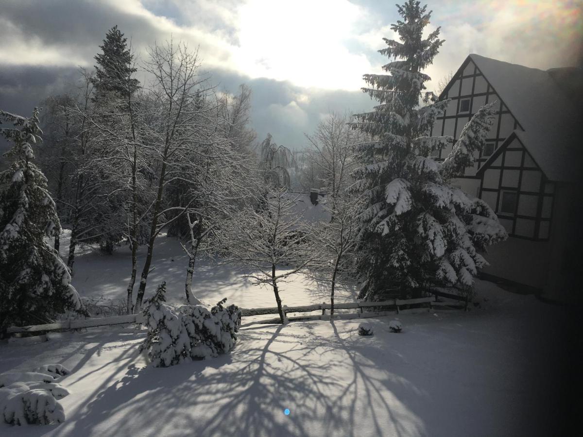 Appartement An Der Erlebniskappe Mit Fahrradkeller Winterberg Exteriér fotografie